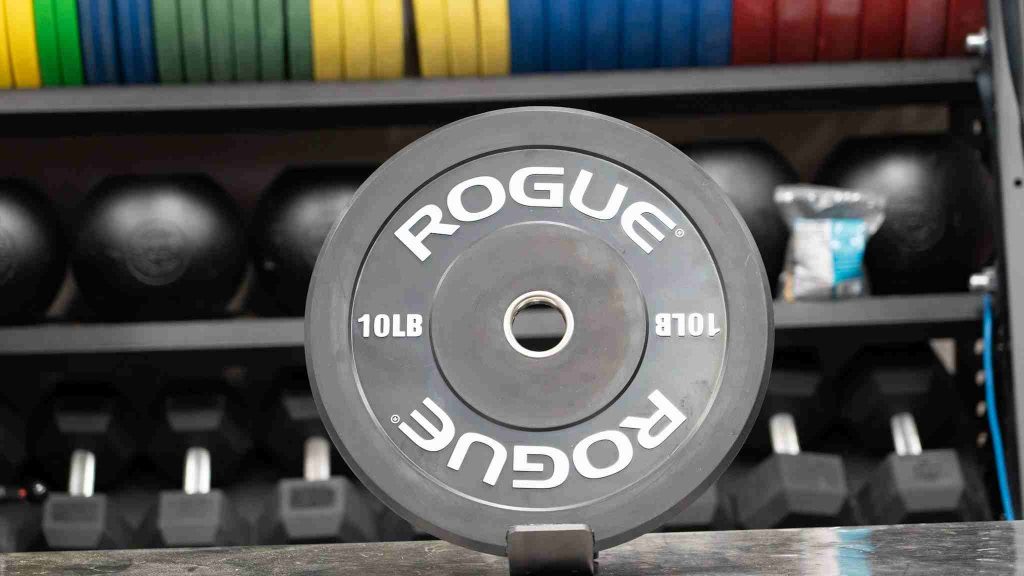 Rogue Echo Bumper Plates